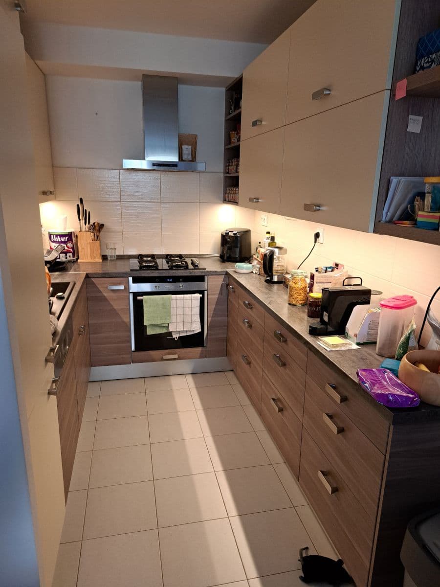 2 bedroom with open-plan kitchen flat for sale, 67 m², Hausmannova, Prague, Prague 2 bedroom with open-plan kitchen flat for sale, 67 m², Hausmannova, Prague, Prague