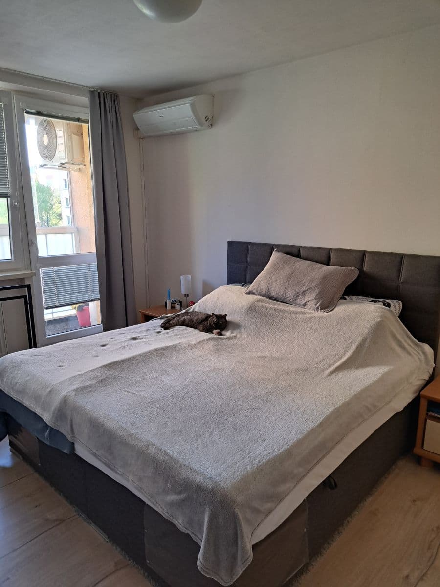 2 bedroom with open-plan kitchen flat for sale, 67 m², Hausmannova, Prague, Prague 2 bedroom with open-plan kitchen flat for sale, 67 m², Hausmannova, Prague, Prague