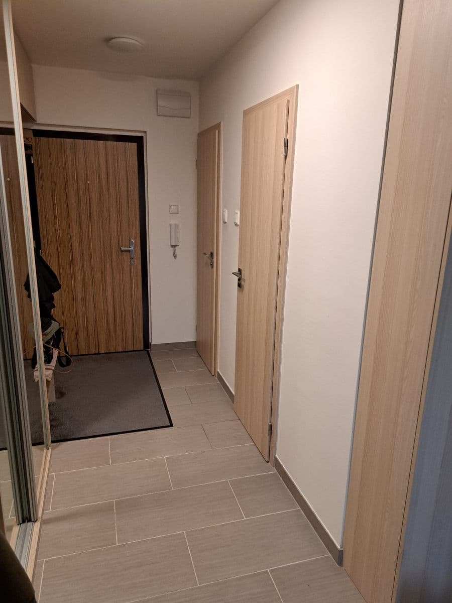 2 bedroom with open-plan kitchen flat for sale, 67 m², Hausmannova, Prague, Prague 2 bedroom with open-plan kitchen flat for sale, 67 m², Hausmannova, Prague, Prague