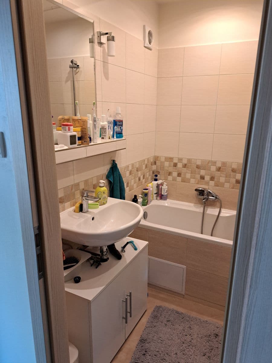 2 bedroom with open-plan kitchen flat for sale, 67 m², Hausmannova, Prague, Prague 2 bedroom with open-plan kitchen flat for sale, 67 m², Hausmannova, Prague, Prague