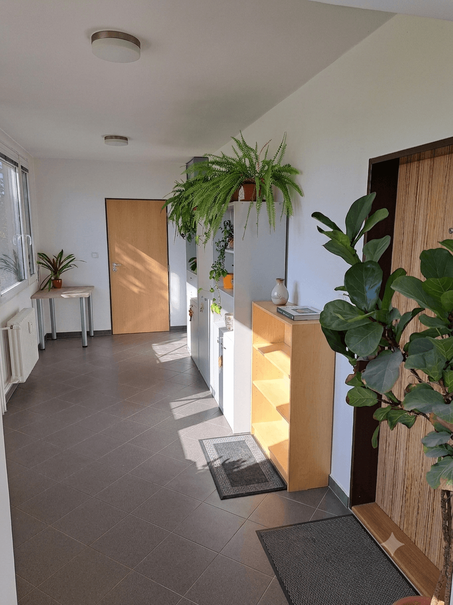 2 bedroom with open-plan kitchen flat for sale, 67 m², Hausmannova, Prague, Prague 2 bedroom with open-plan kitchen flat for sale, 67 m², Hausmannova, Prague, Prague