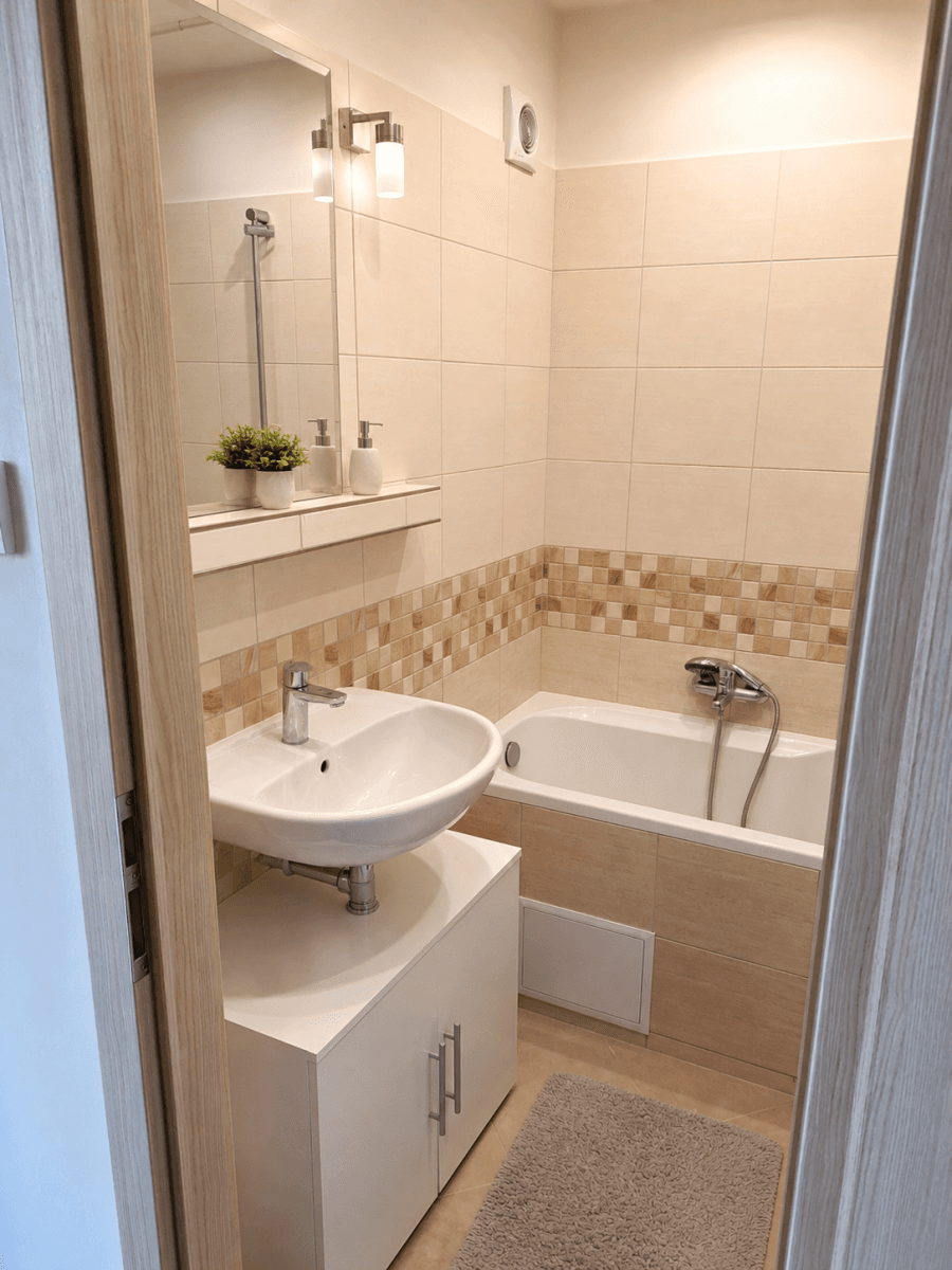 2 bedroom with open-plan kitchen flat for sale, 67 m², Hausmannova, Prague, Prague 2 bedroom with open-plan kitchen flat for sale, 67 m², Hausmannova, Prague, Prague