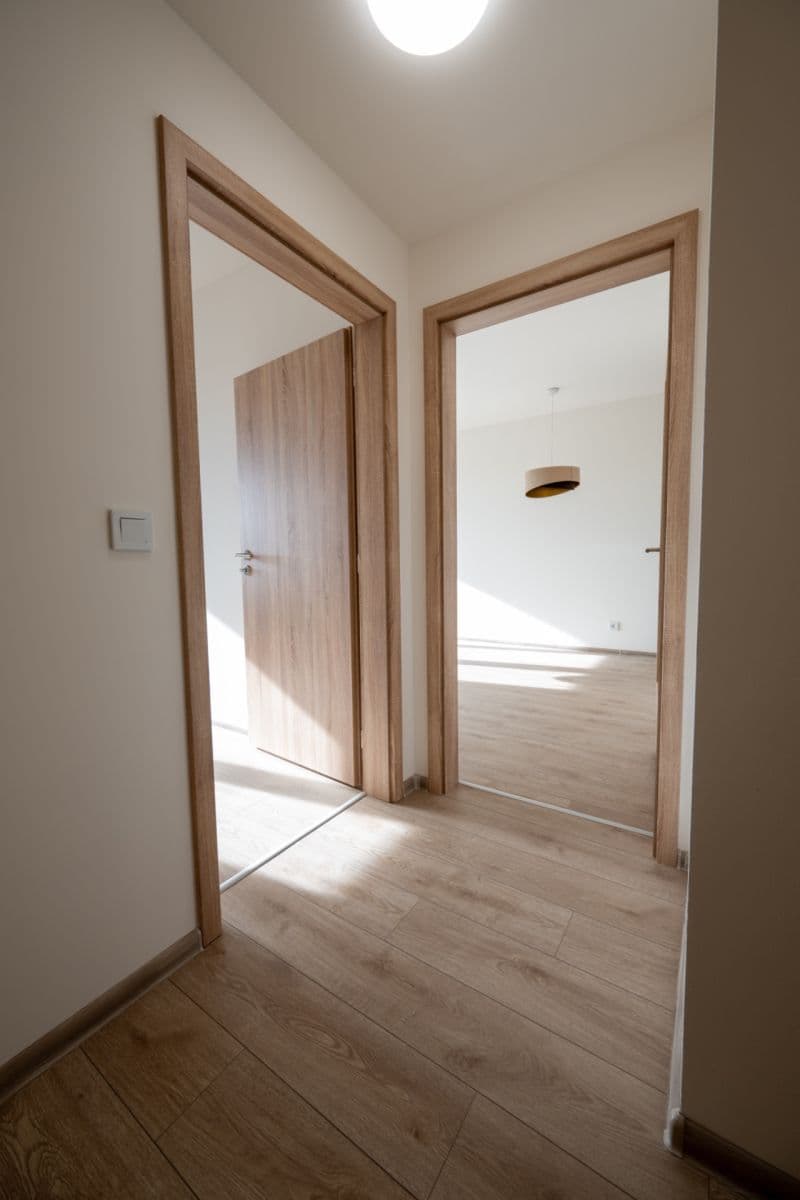 1 bedroom with open-plan kitchen flat for sale, 60 m², Strančická, Prague, Prague 1 bedroom with open-plan kitchen flat for sale, 60 m², Strančická, Prague, Prague