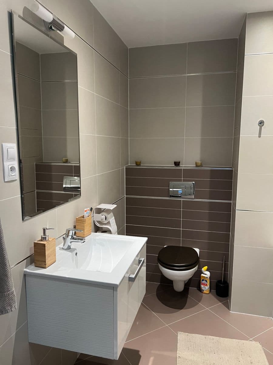 1 bedroom with open-plan kitchen flat for sale, 57 m², Hlučkova, Prague, Prague 1 bedroom with open-plan kitchen flat for sale, 57 m², Hlučkova, Prague, Prague