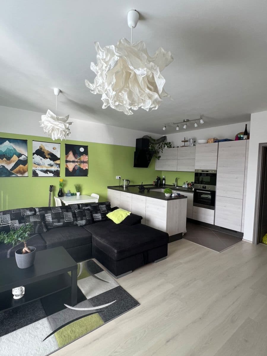 1 bedroom with open-plan kitchen flat for sale, 57 m², Hlučkova, Prague, Prague 1 bedroom with open-plan kitchen flat for sale, 57 m², Hlučkova, Prague, Prague