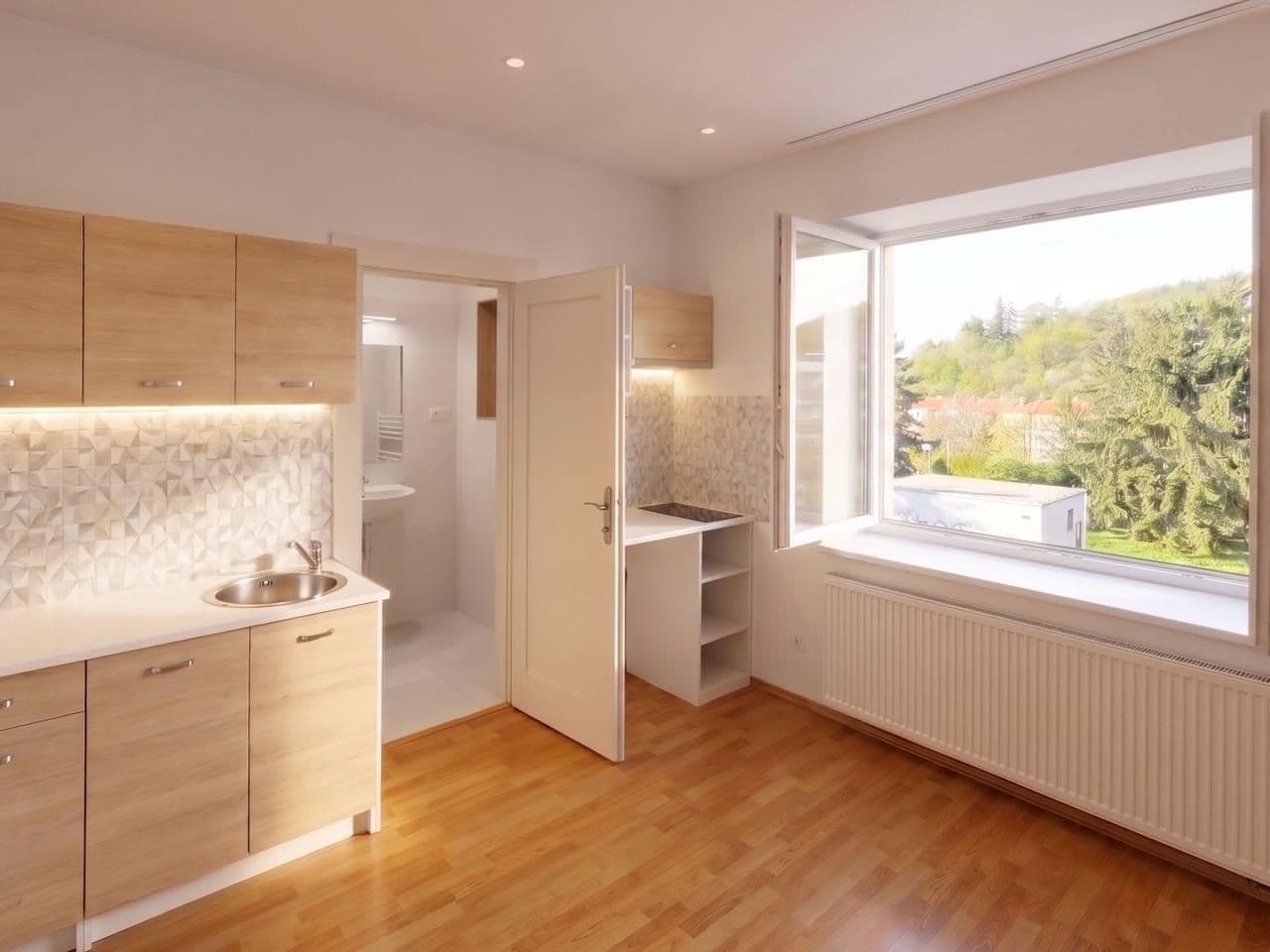 1 bedroom with open-plan kitchen flat to rent, 42 m², V podhájí, Prague, Prague 1 bedroom with open-plan kitchen flat to rent, 42 m², V podhájí, Prague, Prague