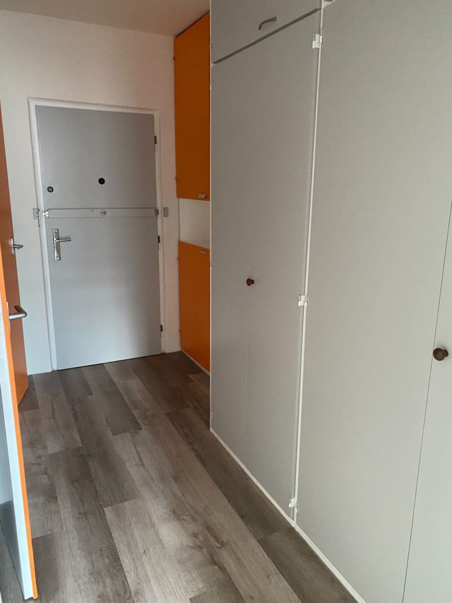 1 bedroom with open-plan kitchen flat to rent, 43 m², Famfulíkova, Prague, Prague 1 bedroom with open-plan kitchen flat to rent, 43 m², Famfulíkova, Prague, Prague