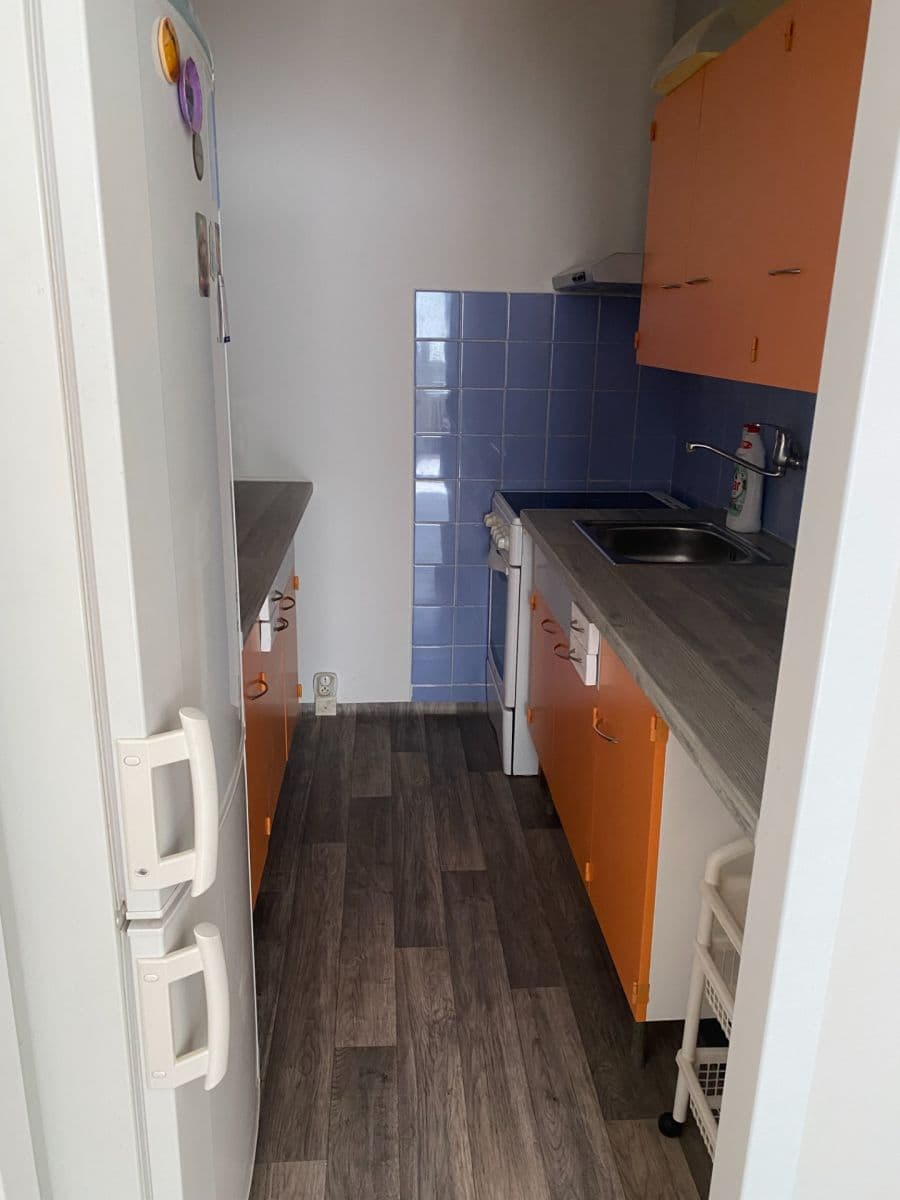 1 bedroom with open-plan kitchen flat to rent, 43 m², Famfulíkova, Prague, Prague 1 bedroom with open-plan kitchen flat to rent, 43 m², Famfulíkova, Prague, Prague