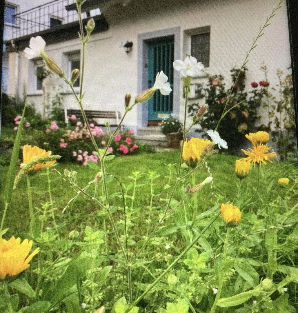 house to rent, 120 m², Nümbrecht, North Rhine-Westphalia house to rent, 120 m², Nümbrecht, North Rhine-Westphalia