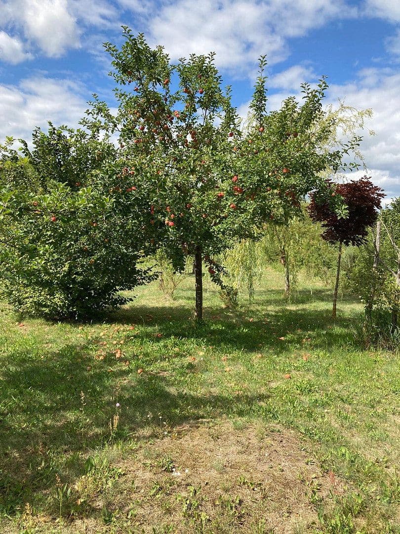 plot for sale, 3,362 m², Schünower Weg, Am Mellensee, Brandenburg plot for sale, 3,362 m², Schünower Weg, Am Mellensee, Brandenburg
