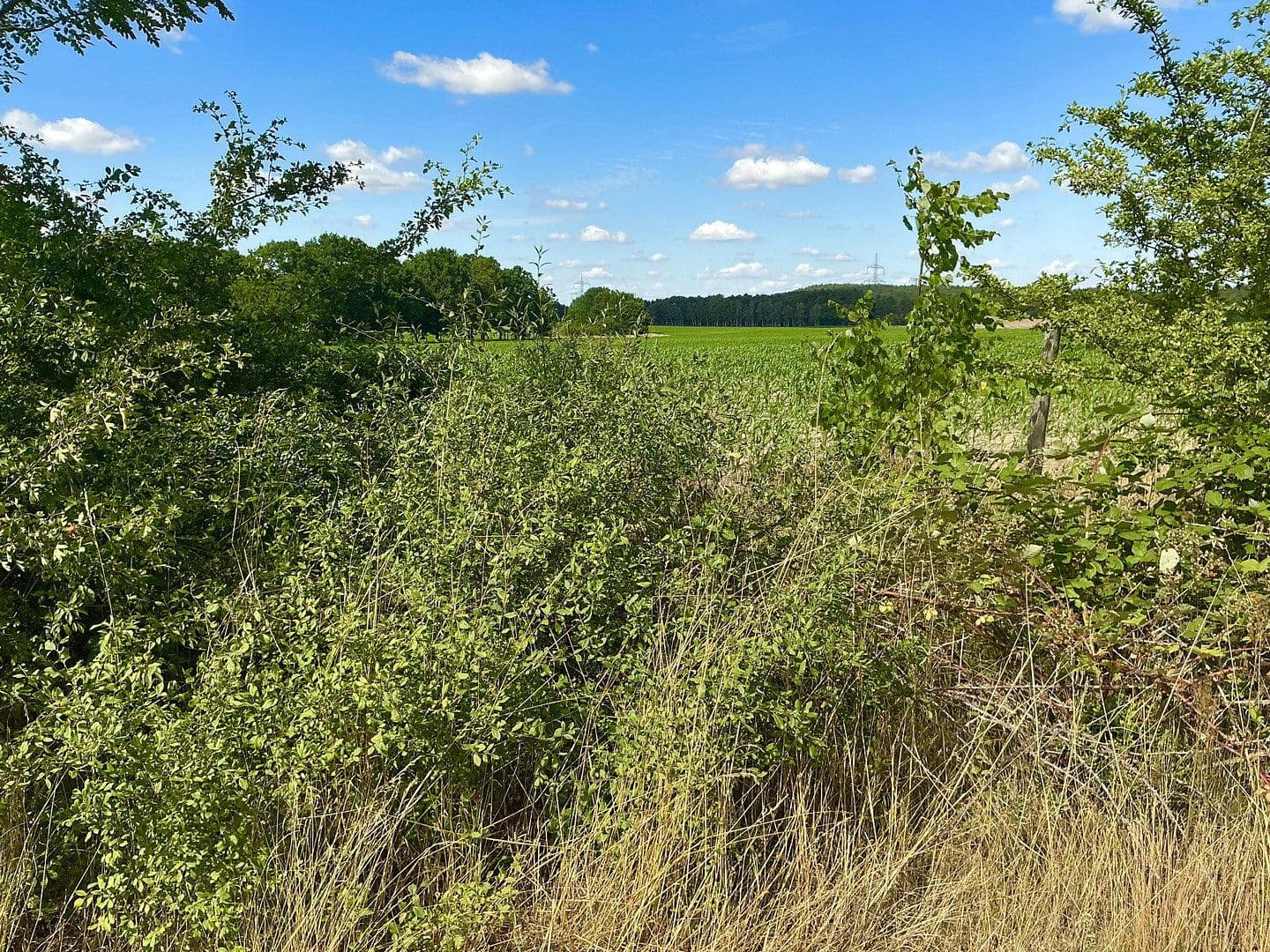 plot for sale, 3,362 m², Schünower Weg, Am Mellensee, Brandenburg plot for sale, 3,362 m², Schünower Weg, Am Mellensee, Brandenburg