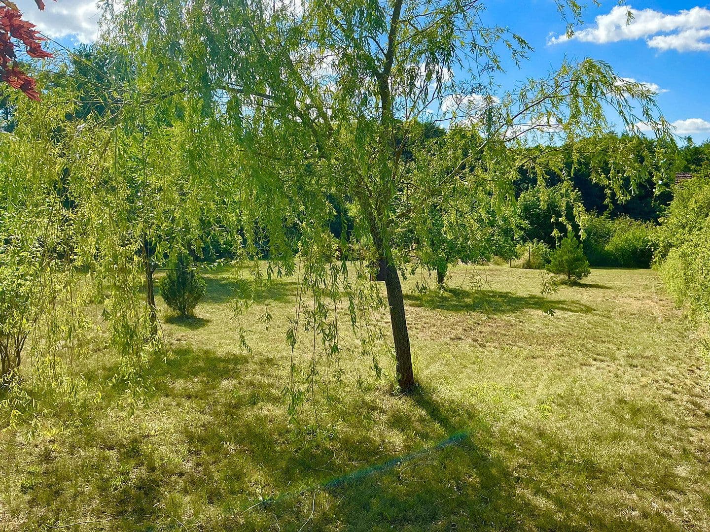 plot for sale, 3,362 m², Schünower Weg, Am Mellensee, Brandenburg plot for sale, 3,362 m², Schünower Weg, Am Mellensee, Brandenburg