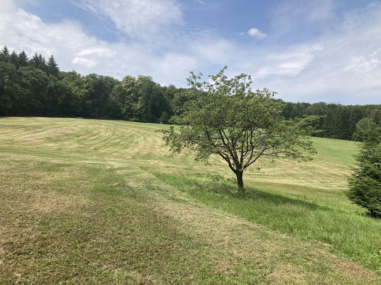 plot for sale, 7,230 m², Göppingen, Baden-Württemberg plot for sale, 7,230 m², Göppingen, Baden-Württemberg