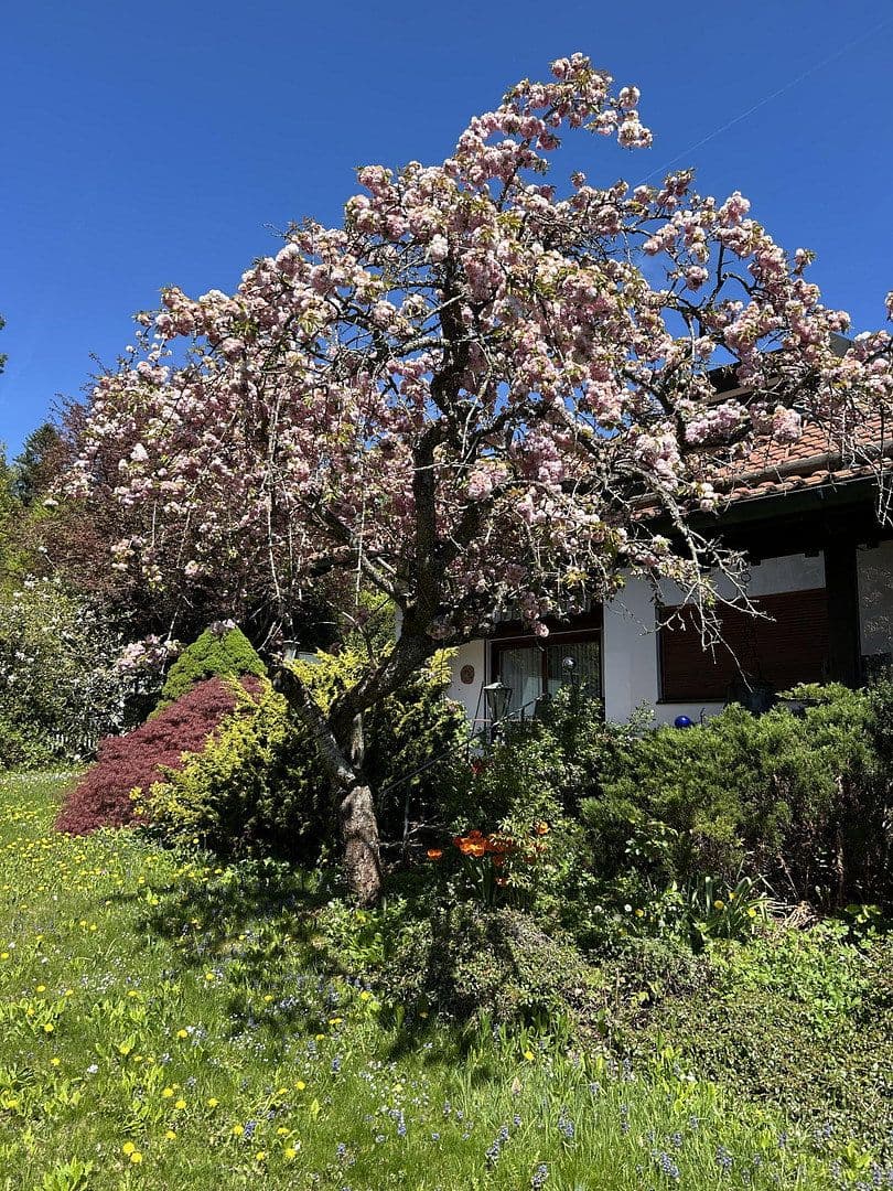plot for sale, 1,570 m², Fuchsbichl 35, Icking, Bavaria plot for sale, 1,570 m², Fuchsbichl 35, Icking, Bavaria