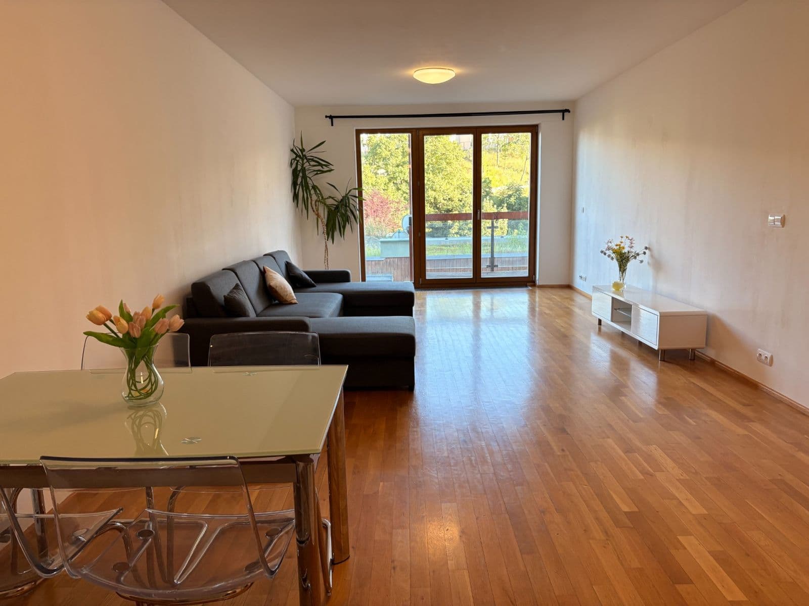 1 bedroom with open-plan kitchen flat to rent, 75 m², Linhartova, Prague, Prague 1 bedroom with open-plan kitchen flat to rent, 75 m², Linhartova, Prague, Prague
