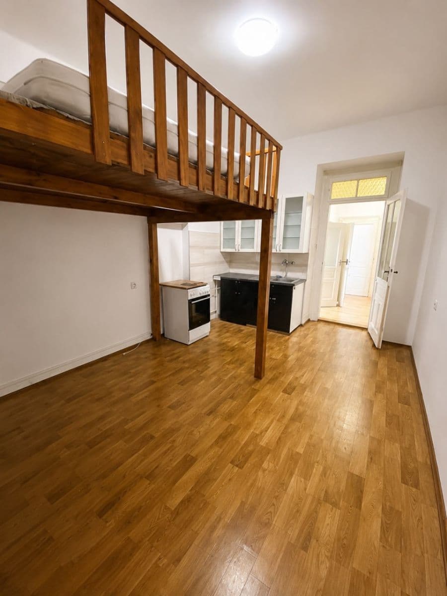 1 bedroom with open-plan kitchen flat to rent, 50 m², Lužická, Prague, Prague 1 bedroom with open-plan kitchen flat to rent, 50 m², Lužická, Prague, Prague