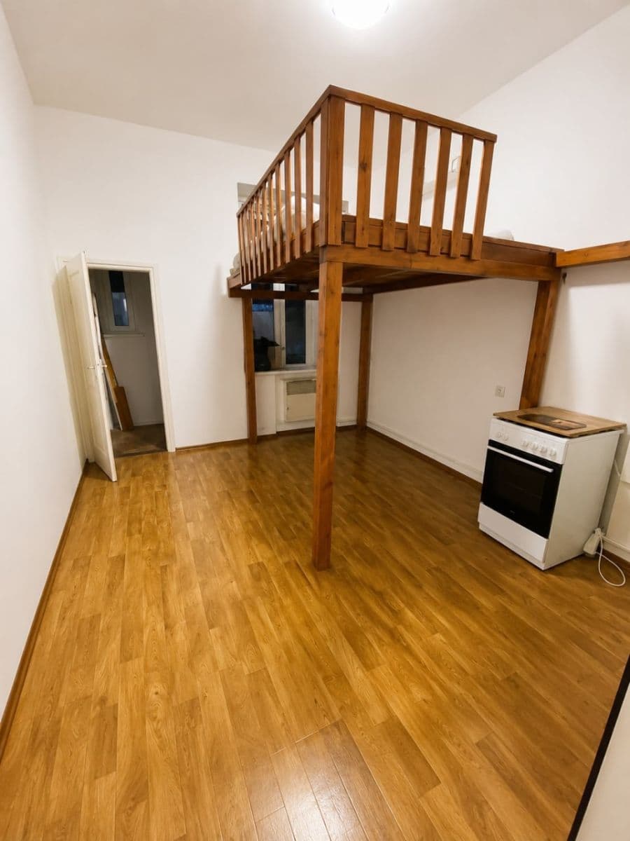 1 bedroom with open-plan kitchen flat to rent, 50 m², Lužická, Prague, Prague 1 bedroom with open-plan kitchen flat to rent, 50 m², Lužická, Prague, Prague