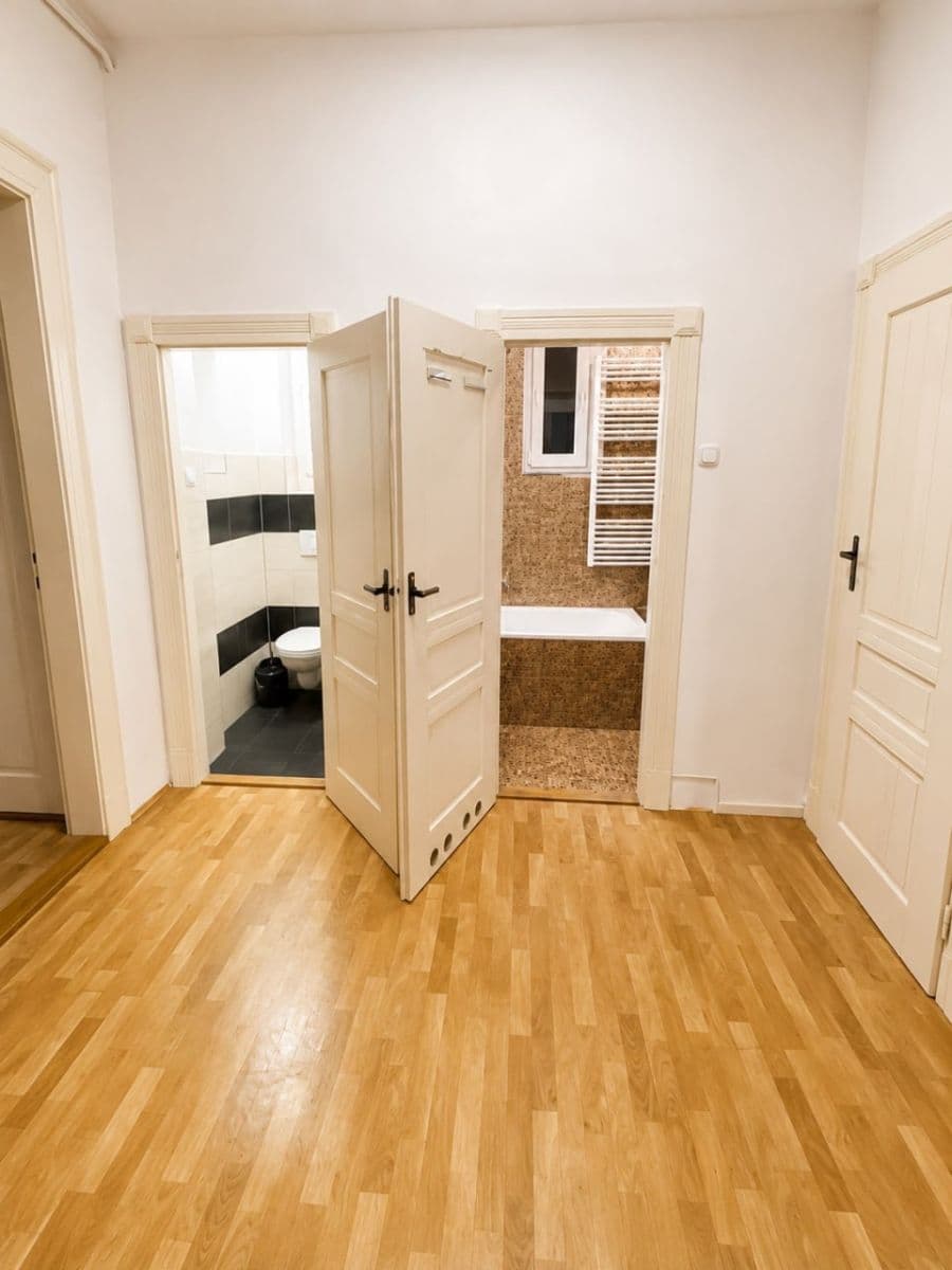 1 bedroom with open-plan kitchen flat to rent, 50 m², Lužická, Prague, Prague 1 bedroom with open-plan kitchen flat to rent, 50 m², Lužická, Prague, Prague