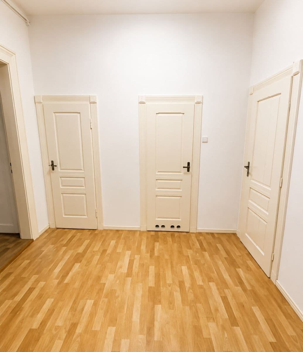 1 bedroom with open-plan kitchen flat to rent, 50 m², Lužická, Prague, Prague 1 bedroom with open-plan kitchen flat to rent, 50 m², Lužická, Prague, Prague