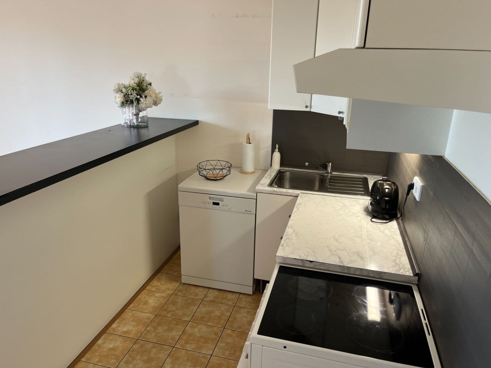 Studio flat to rent, 41 m², U Jízdárny, Prague, Prague Studio flat to rent, 41 m², U Jízdárny, Prague, Prague