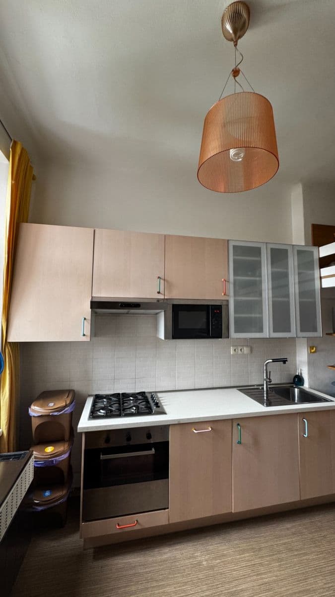 1 bedroom with open-plan kitchen flat to rent, 39 m², Ondříčkova, Prague, Prague 1 bedroom with open-plan kitchen flat to rent, 39 m², Ondříčkova, Prague, Prague