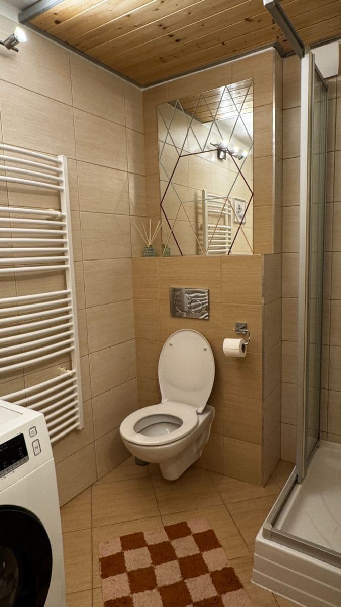 1 bedroom with open-plan kitchen flat to rent, 39 m², Ondříčkova, Prague, Prague 1 bedroom with open-plan kitchen flat to rent, 39 m², Ondříčkova, Prague, Prague