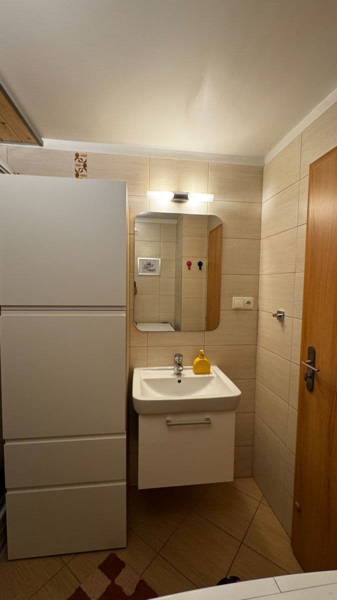 1 bedroom with open-plan kitchen flat to rent, 39 m², Ondříčkova, Prague, Prague 1 bedroom with open-plan kitchen flat to rent, 39 m², Ondříčkova, Prague, Prague