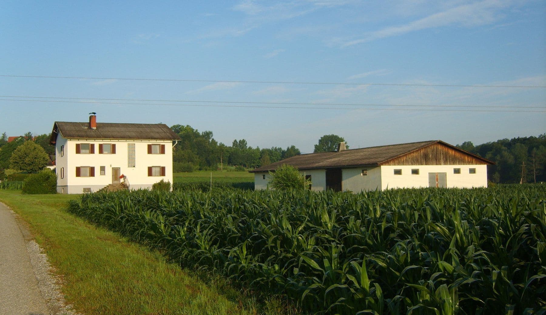 plot for sale, 61,000 m², Wettmannstätten, Styria plot for sale, 61,000 m², Wettmannstätten, Styria