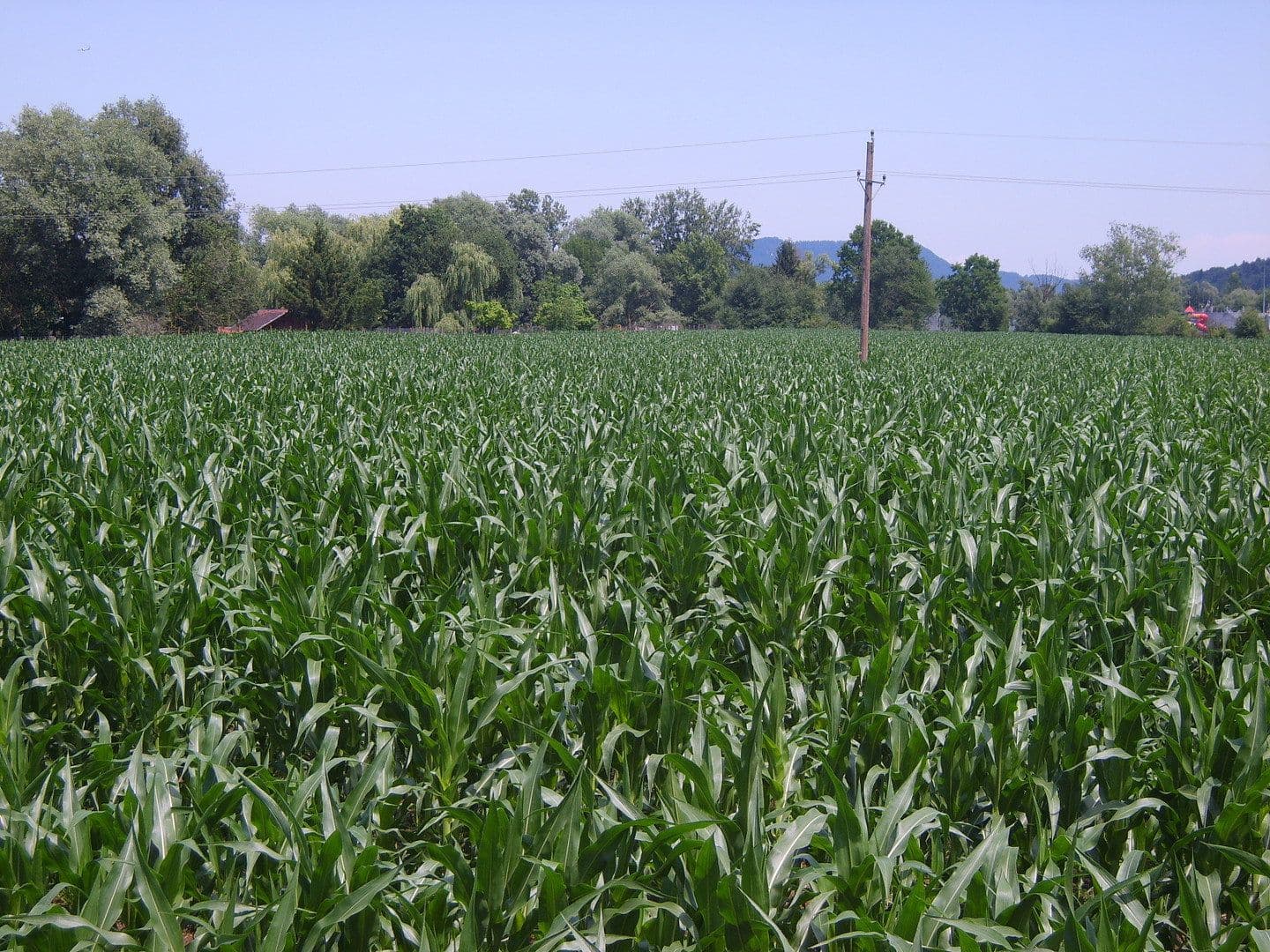 plot for sale, 61,000 m², Wettmannstätten, Styria plot for sale, 61,000 m², Wettmannstätten, Styria