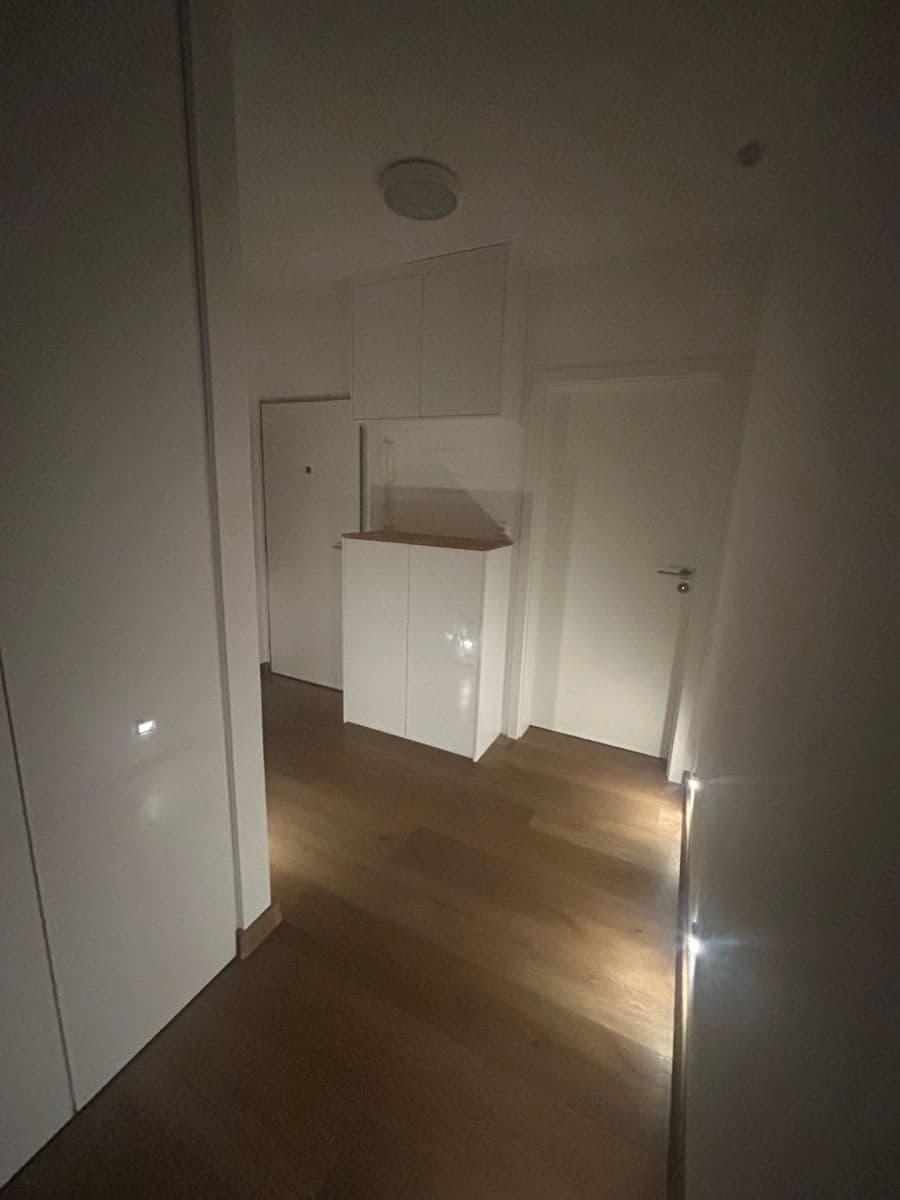 2 bedroom with open-plan kitchen flat for sale, 70 m², Rezlerova, Prague, Prague 2 bedroom with open-plan kitchen flat for sale, 70 m², Rezlerova, Prague, Prague