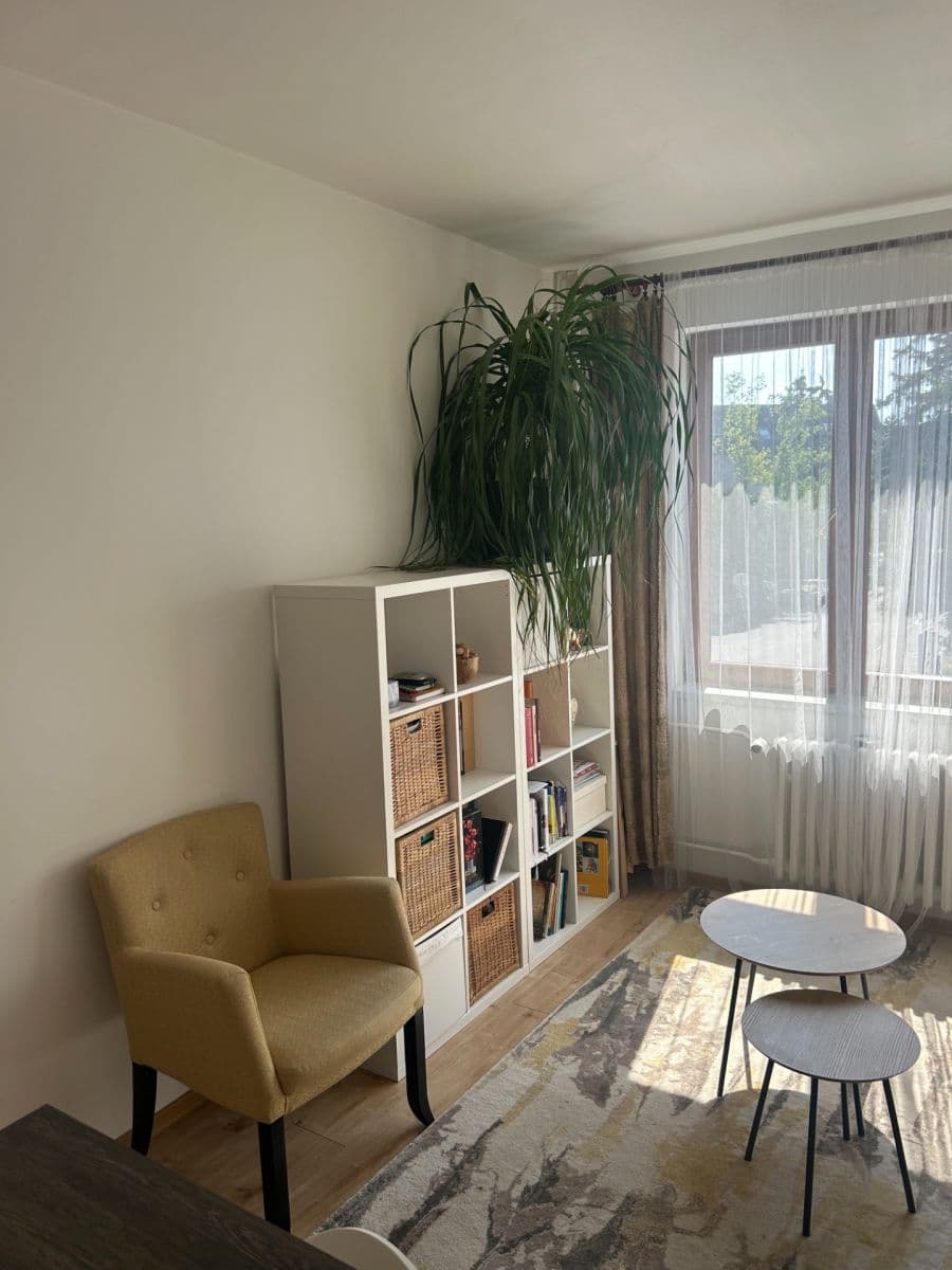 1 bedroom with open-plan kitchen flat to rent, 38 m², Na Volánové, Prague, Prague 1 bedroom with open-plan kitchen flat to rent, 38 m², Na Volánové, Prague, Prague