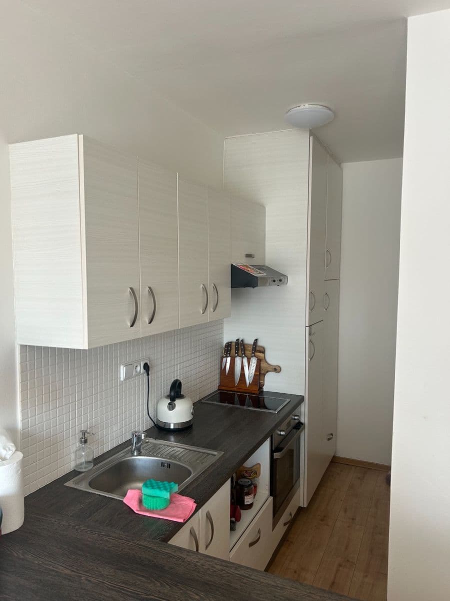 1 bedroom with open-plan kitchen flat to rent, 38 m², Na Volánové, Prague, Prague 1 bedroom with open-plan kitchen flat to rent, 38 m², Na Volánové, Prague, Prague