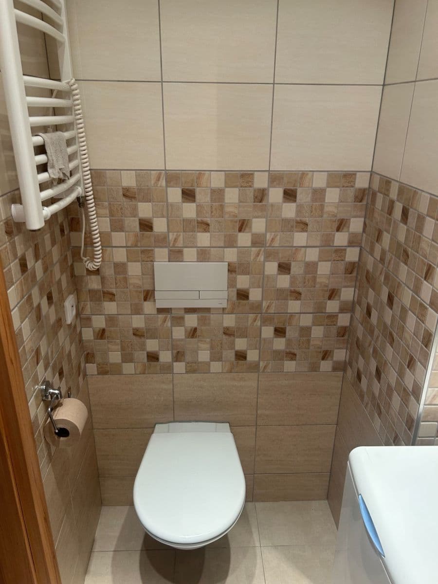 1 bedroom with open-plan kitchen flat to rent, 38 m², Na Volánové, Prague, Prague 1 bedroom with open-plan kitchen flat to rent, 38 m², Na Volánové, Prague, Prague