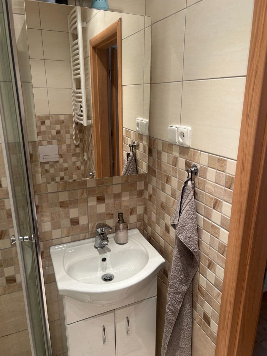 1 bedroom with open-plan kitchen flat to rent, 38 m², Na Volánové, Prague, Prague 1 bedroom with open-plan kitchen flat to rent, 38 m², Na Volánové, Prague, Prague