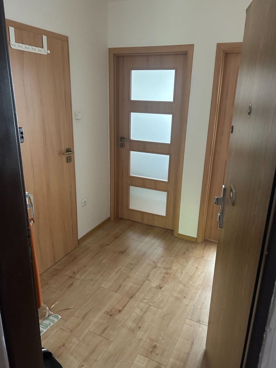 1 bedroom with open-plan kitchen flat to rent, 38 m², Na Volánové, Prague, Prague 1 bedroom with open-plan kitchen flat to rent, 38 m², Na Volánové, Prague, Prague