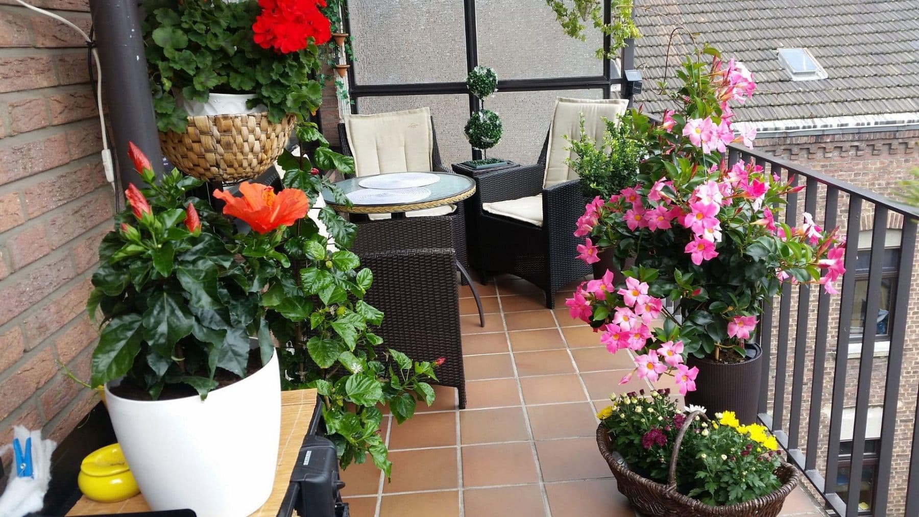 3 bedroom flat to rent, 67 m², Eickener Str. 28x, Mönchengladbach, North Rhine-Westphalia 3 bedroom flat to rent, 67 m², Eickener Str. 28x, Mönchengladbach, North Rhine-Westphalia
