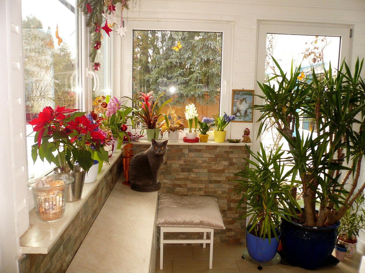 house for sale, 92 m², Wandlitz, Brandenburg house for sale, 92 m², Wandlitz, Brandenburg