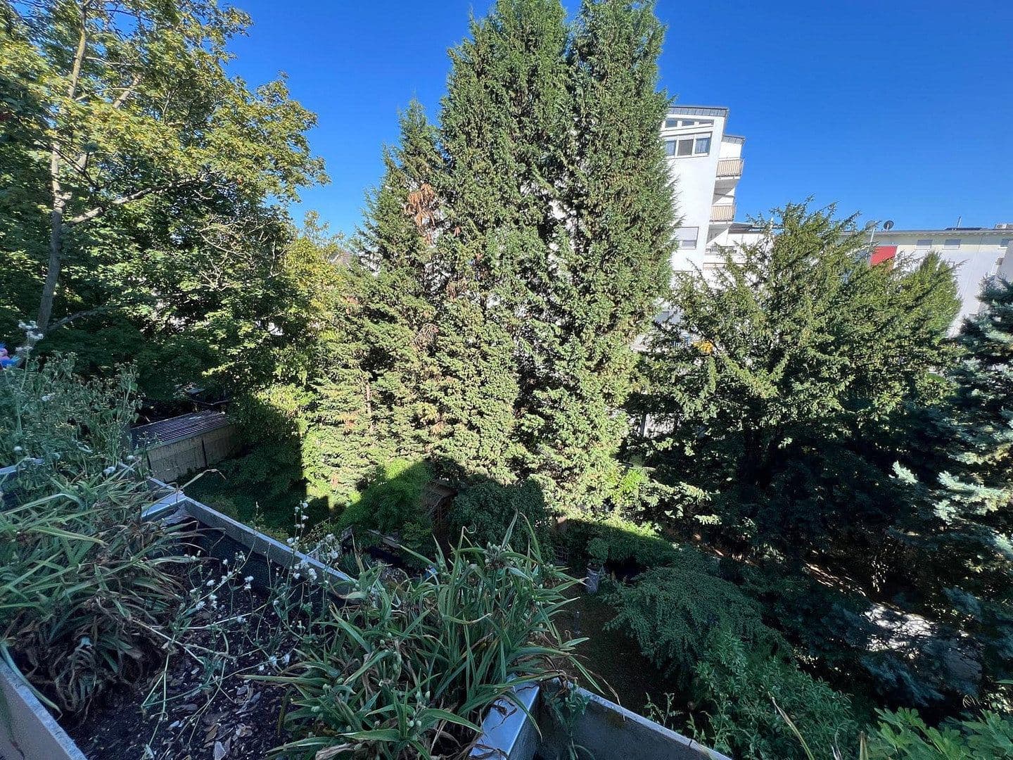 6 bedroom flat to rent, 160 m², Ludwigshafen, Rhineland-Palatinate 6 bedroom flat to rent, 160 m², Ludwigshafen, Rhineland-Palatinate