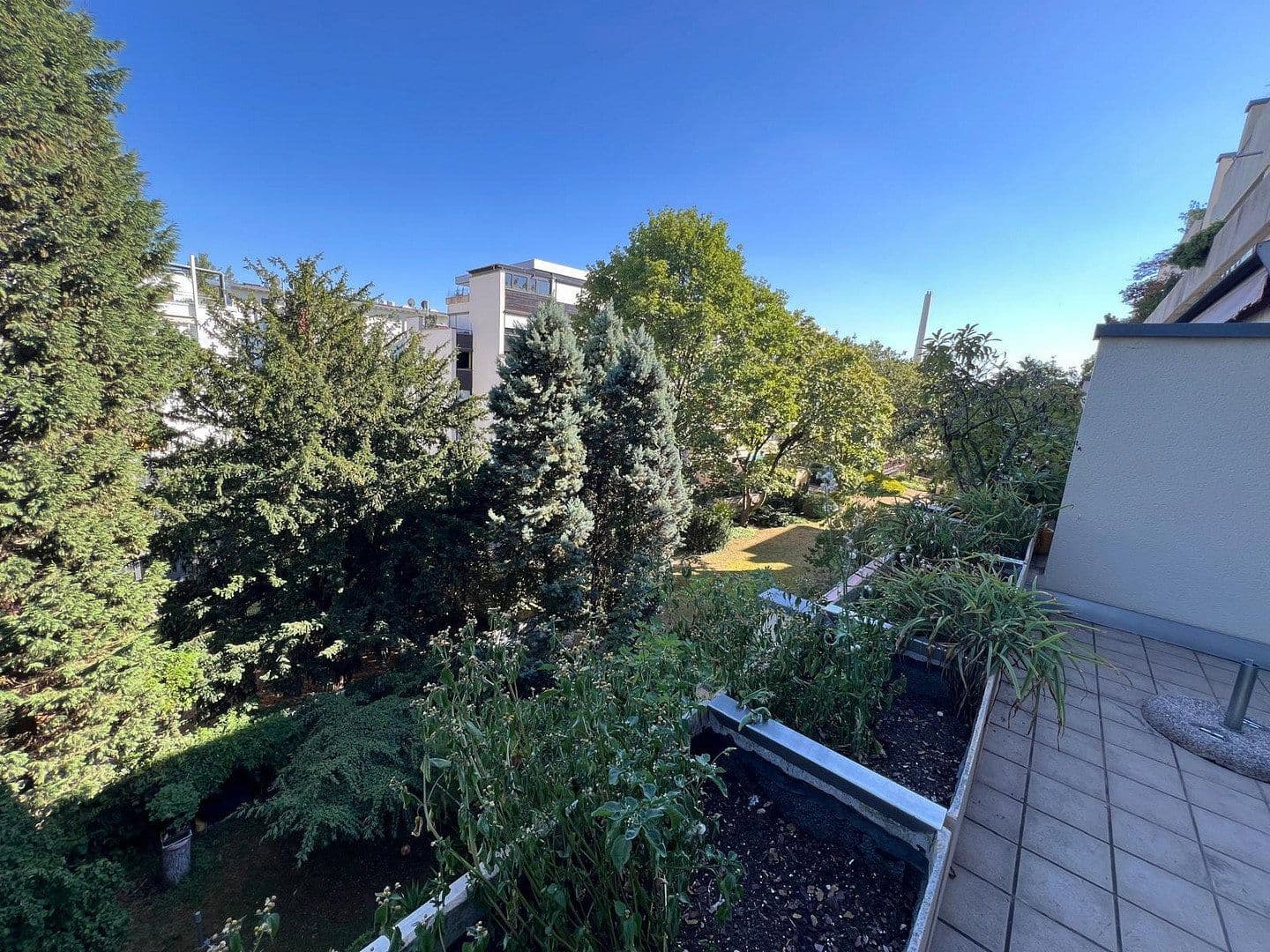 6 bedroom flat to rent, 160 m², Ludwigshafen, Rhineland-Palatinate 6 bedroom flat to rent, 160 m², Ludwigshafen, Rhineland-Palatinate