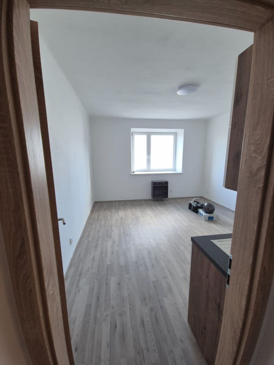 1 bedroom with open-plan kitchen flat to rent, 45 m², Provazníkova, Brno, Jihomoravský Region 1 bedroom with open-plan kitchen flat to rent, 45 m², Provazníkova, Brno, Jihomoravský Region
