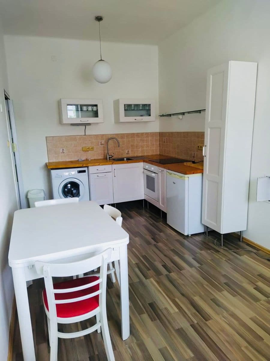 1 bedroom with open-plan kitchen flat to rent, 43 m², Pod Marjánkou, Prague, Prague 1 bedroom with open-plan kitchen flat to rent, 43 m², Pod Marjánkou, Prague, Prague