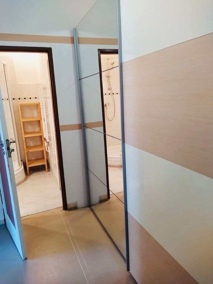 1 bedroom with open-plan kitchen flat to rent, 43 m², Pod Marjánkou, Prague, Prague 1 bedroom with open-plan kitchen flat to rent, 43 m², Pod Marjánkou, Prague, Prague
