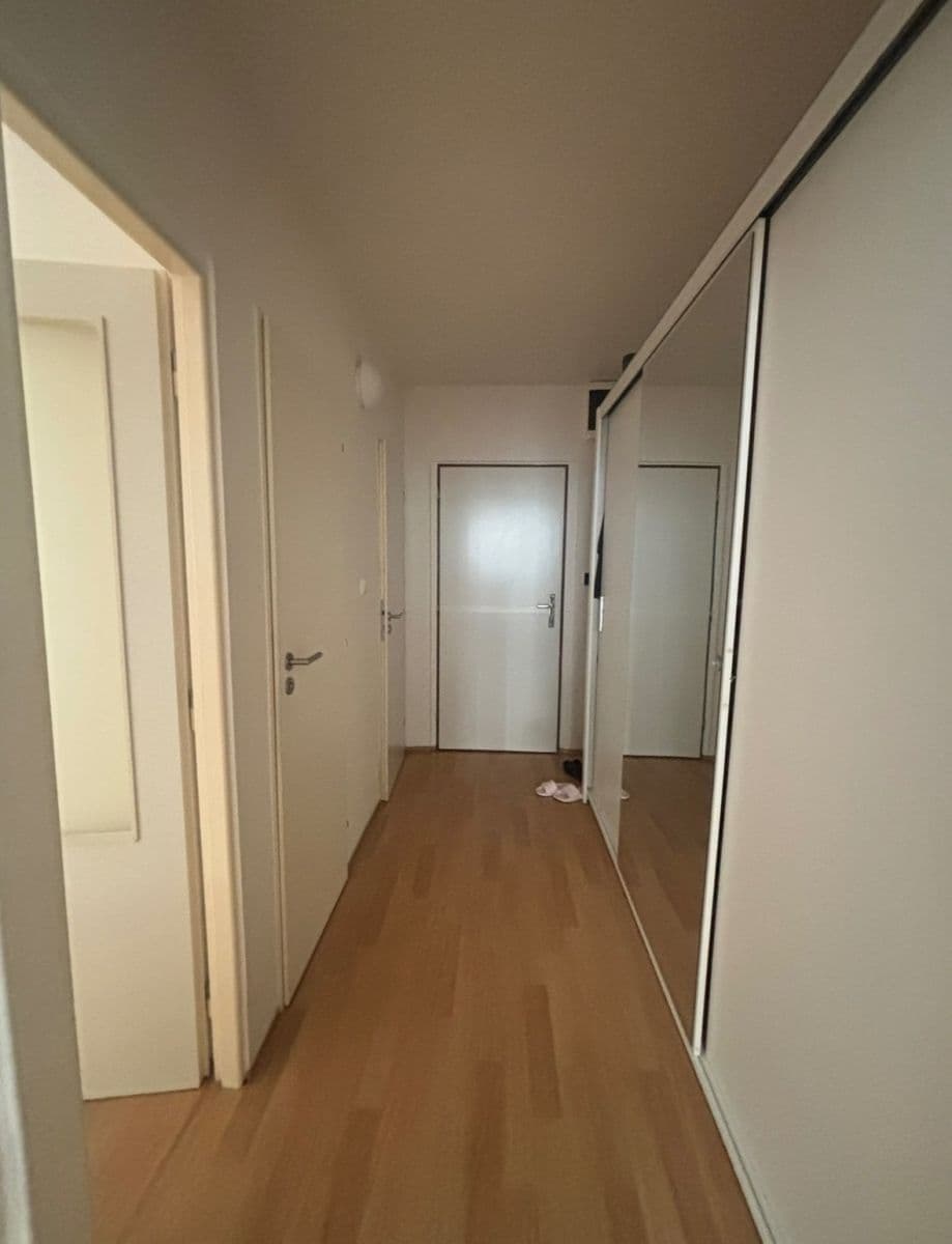 1 bedroom with open-plan kitchen flat for sale, 45 m², Wassermannova, Prague, Prague 1 bedroom with open-plan kitchen flat for sale, 45 m², Wassermannova, Prague, Prague