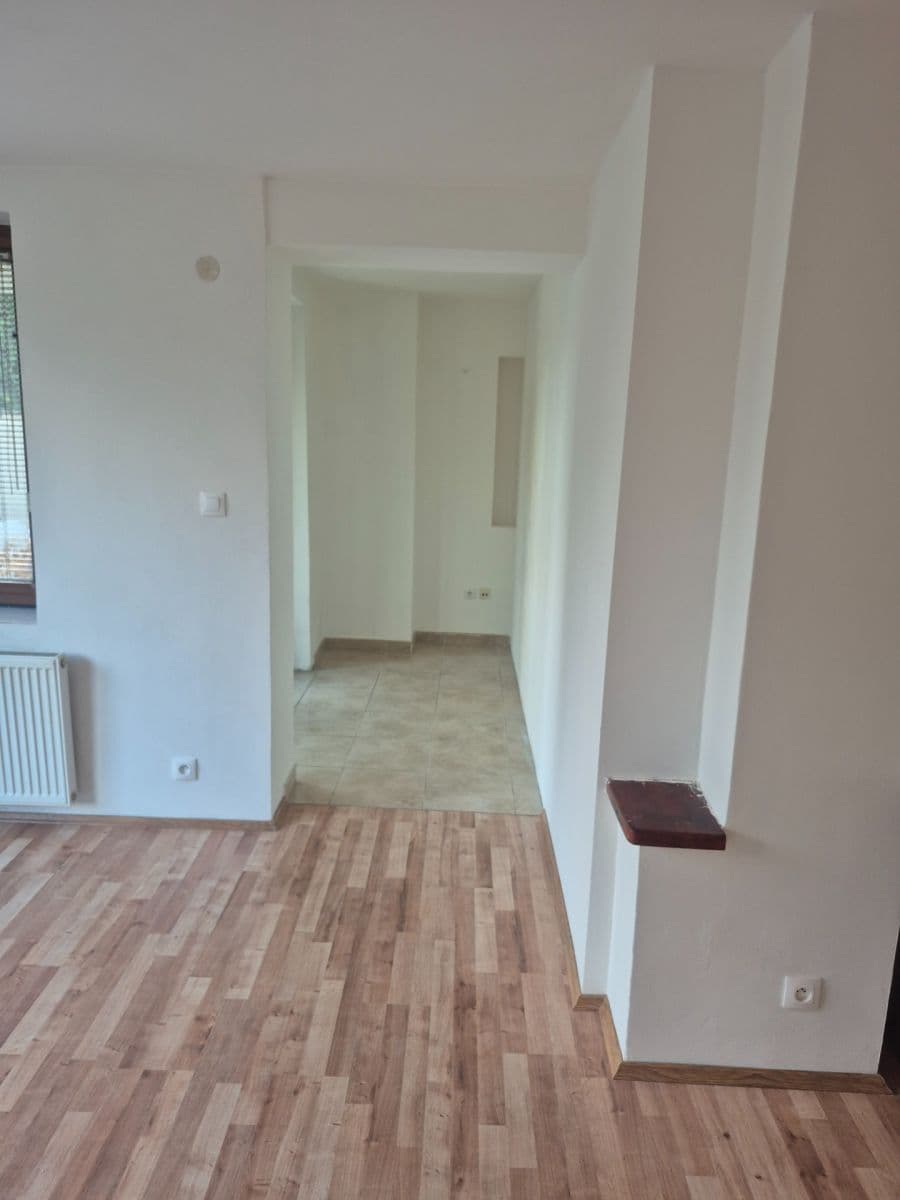1 bedroom with open-plan kitchen flat to rent, 45 m², Lišická, Prague, Prague 1 bedroom with open-plan kitchen flat to rent, 45 m², Lišická, Prague, Prague