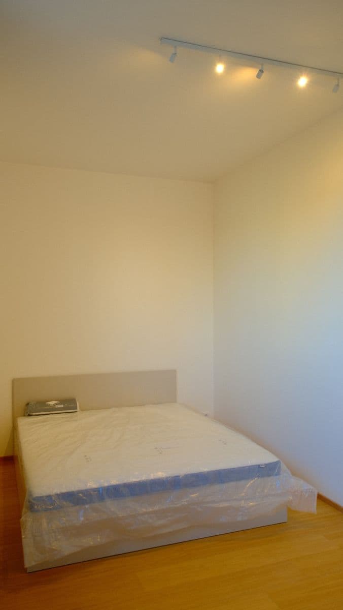1 bedroom with open-plan kitchen flat to rent, 42 m², V Třešňovce, Prague, Prague 1 bedroom with open-plan kitchen flat to rent, 42 m², V Třešňovce, Prague, Prague