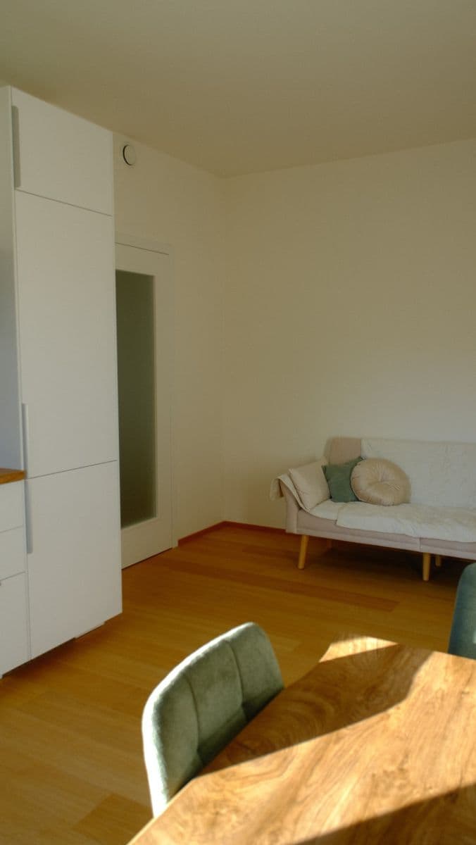 1 bedroom with open-plan kitchen flat to rent, 42 m², V Třešňovce, Prague, Prague 1 bedroom with open-plan kitchen flat to rent, 42 m², V Třešňovce, Prague, Prague
