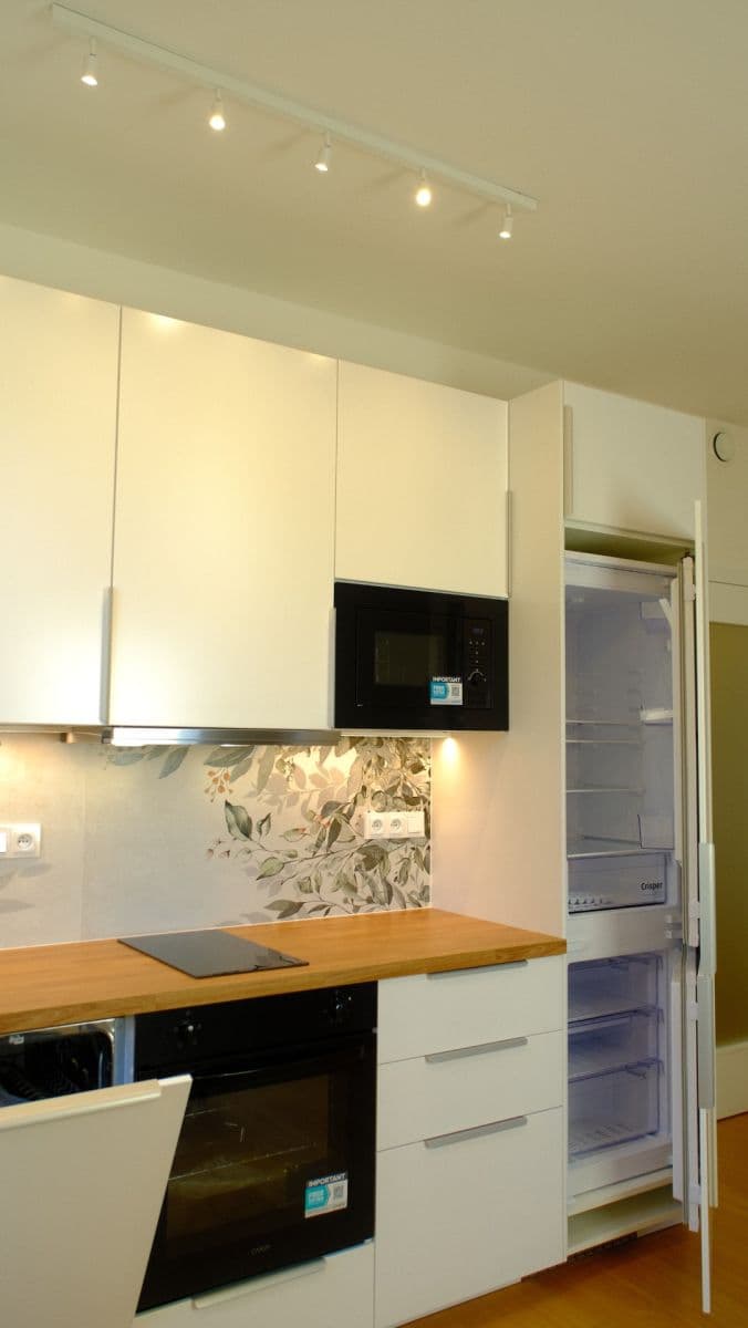 1 bedroom with open-plan kitchen flat to rent, 42 m², V Třešňovce, Prague, Prague 1 bedroom with open-plan kitchen flat to rent, 42 m², V Třešňovce, Prague, Prague