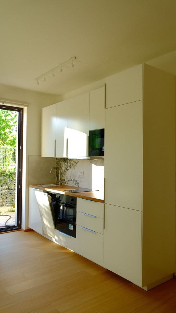 1 bedroom with open-plan kitchen flat to rent, 42 m², V Třešňovce, Prague, Prague 1 bedroom with open-plan kitchen flat to rent, 42 m², V Třešňovce, Prague, Prague