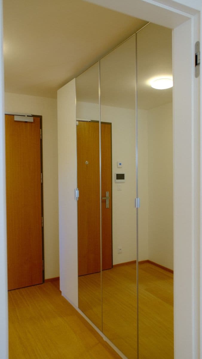 1 bedroom with open-plan kitchen flat to rent, 42 m², V Třešňovce, Prague, Prague 1 bedroom with open-plan kitchen flat to rent, 42 m², V Třešňovce, Prague, Prague