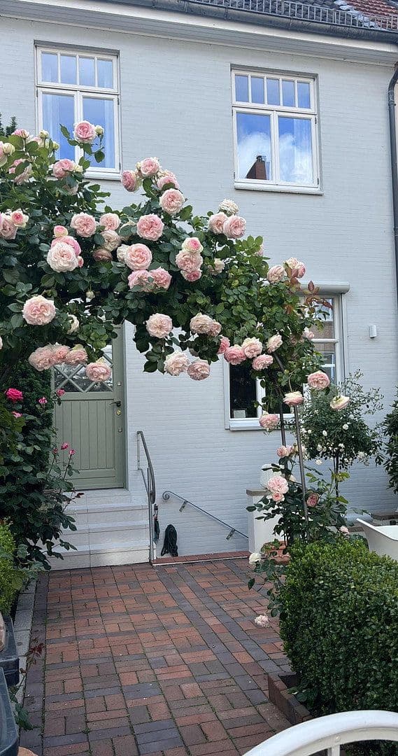 house for sale, 120 m², Bremen, Bremen house for sale, 120 m², Bremen, Bremen